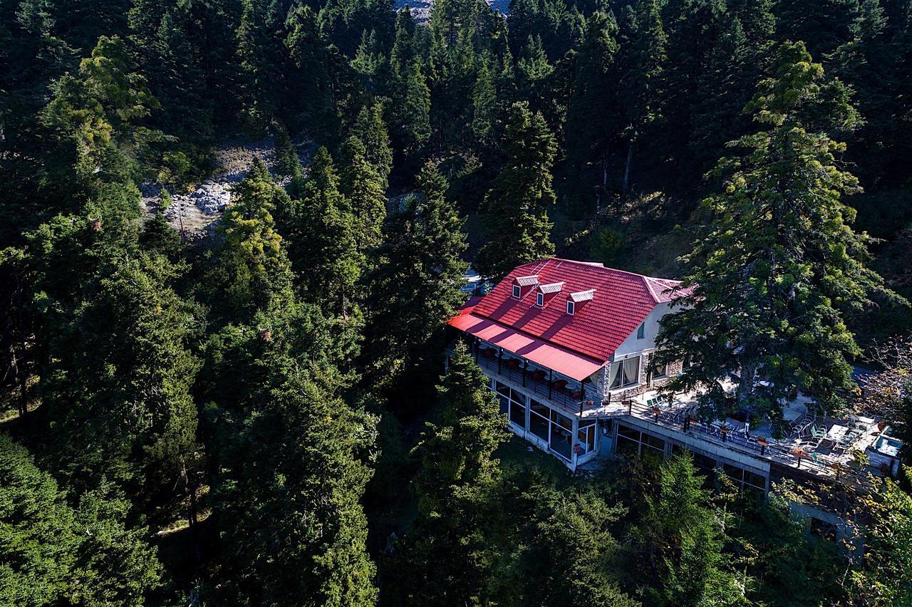 Koutsikouris Hotel Platanakos Exteriör bild
