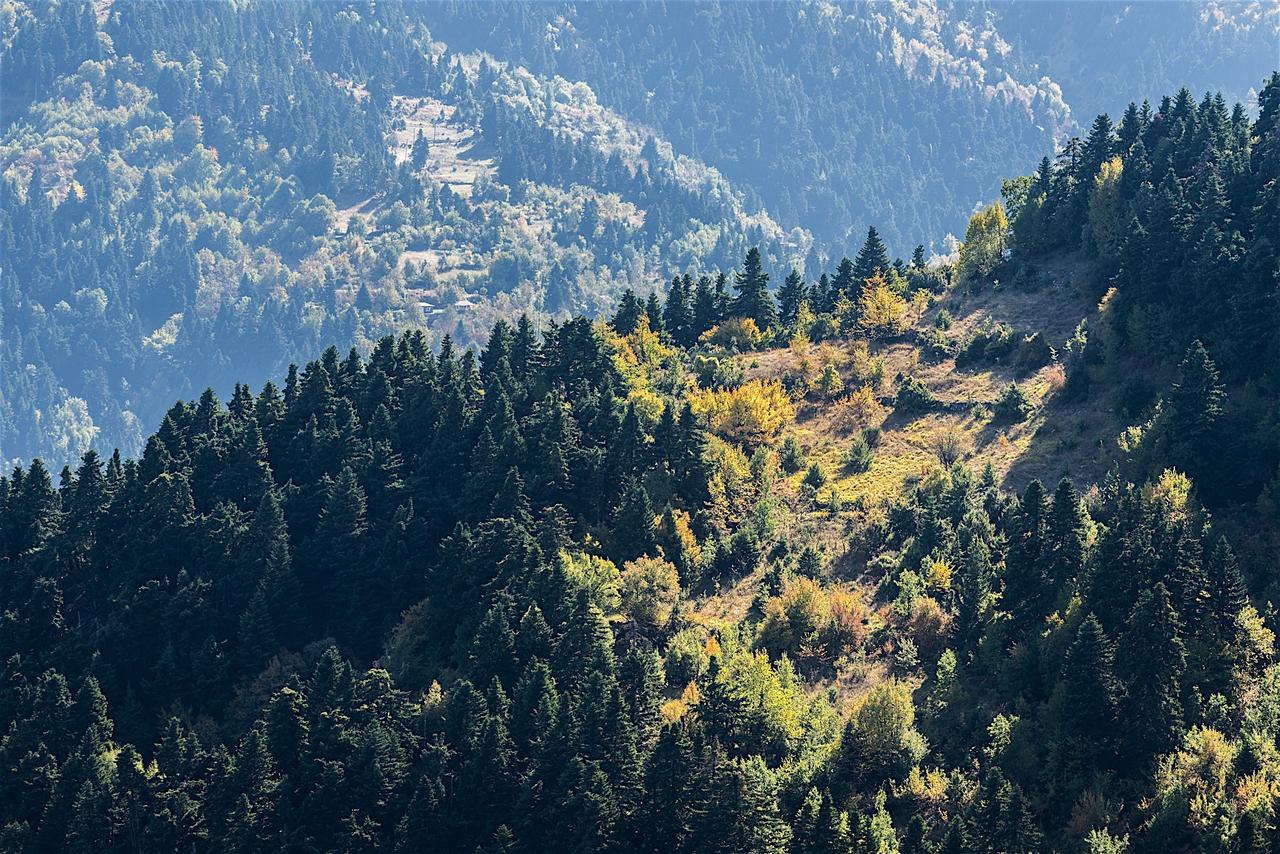 Koutsikouris Hotel Platanakos Exteriör bild