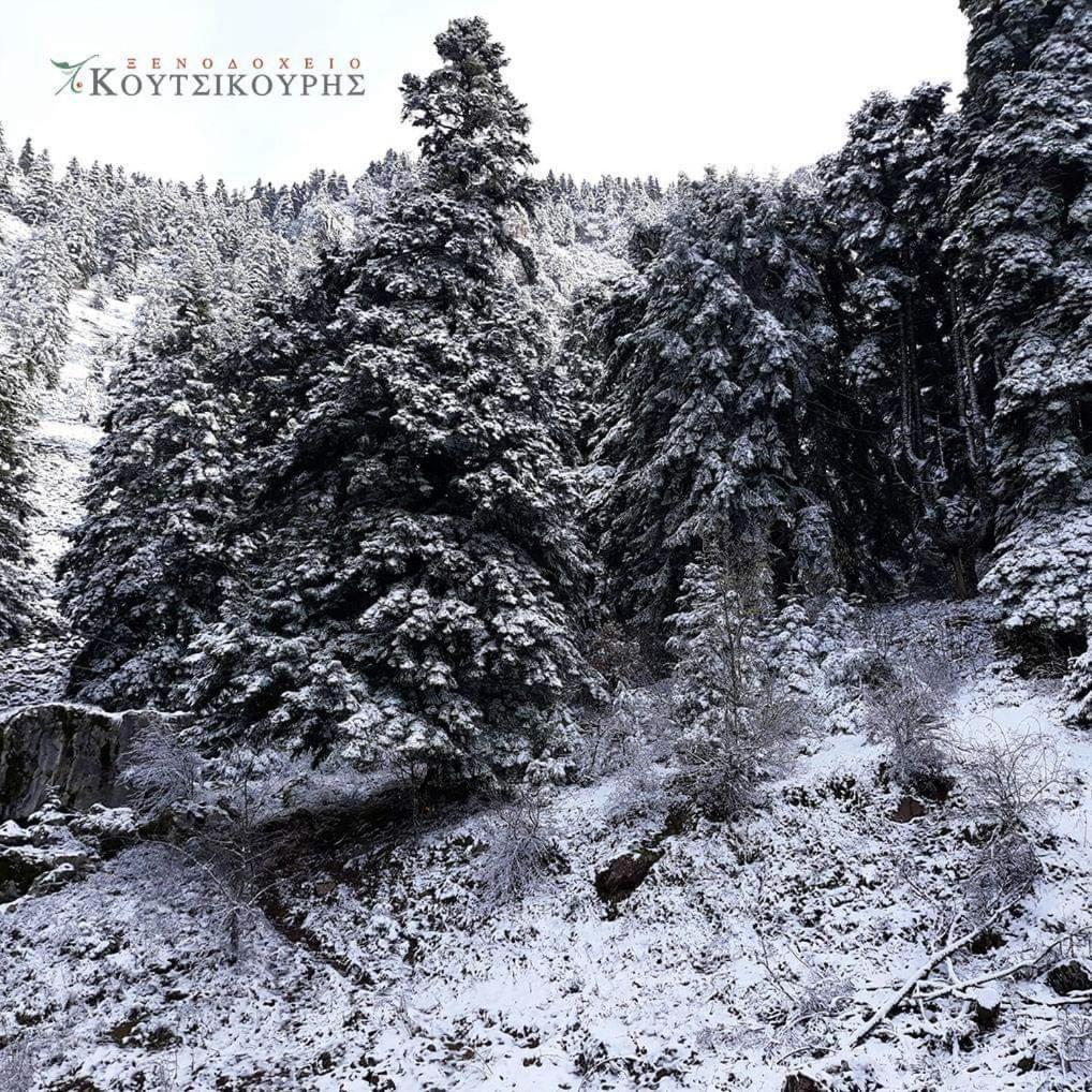 Koutsikouris Hotel Platanakos Exteriör bild